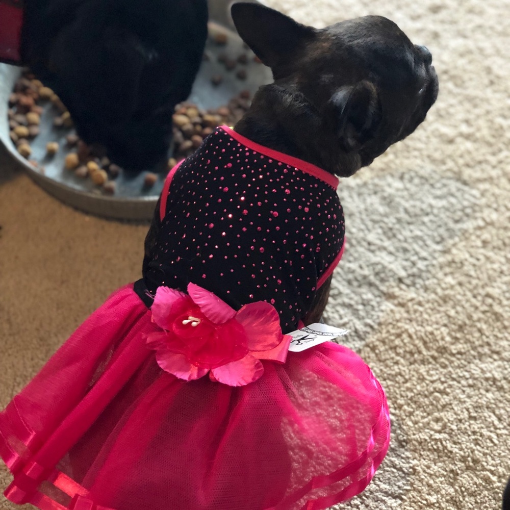 Meet your Posher, Chris